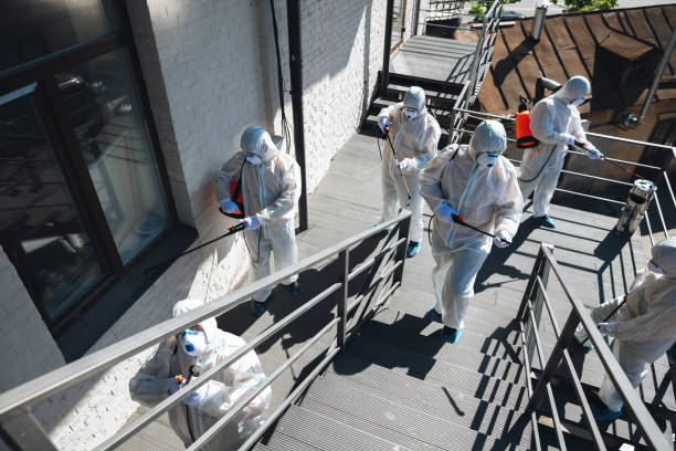 Best Mold Damage Restoration  in Garden Acres, CA