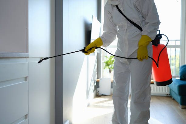 Best Emergency Mold Remediation  in Garden Acres, CA