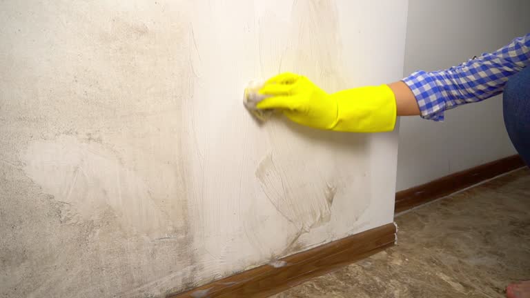 Best Comprehensive Air Testing for Mold Contaminants  in Garden Acres, CA