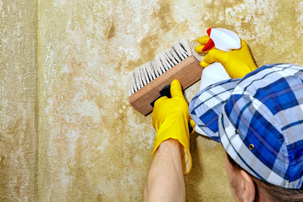 Best Mold Prevention Services  in Garden Acres, CA