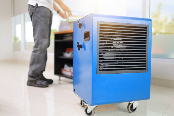 Best Mold-Related Health Consultation  in Garden Acres, CA