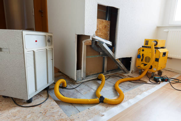 Mold Documentation for Insurance Claims in Garden Acres, CA