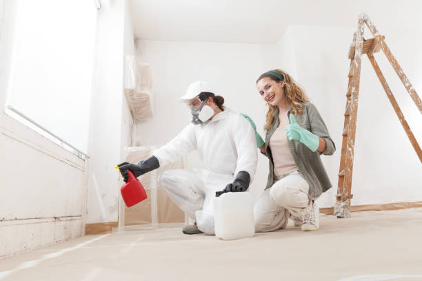 Best Asbestos and Lead Testing During Mold Inspection  in Garden Acres, CA