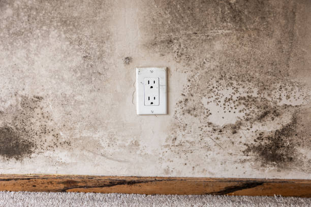 Best Mold Removal for HVAC Installations  in Garden Acres, CA