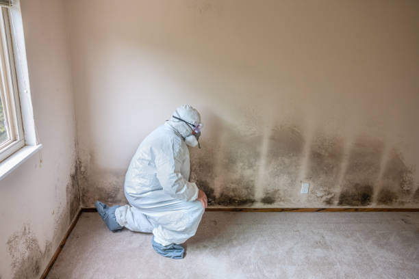Best Airborne Mold Testing  in Garden Acres, CA