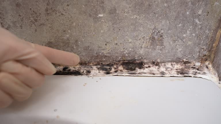 Best Mold Odor Removal Services  in Garden Acres, CA
