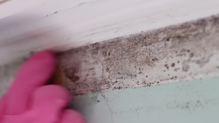 Best Industrial Mold Remediation  in Garden Acres, CA